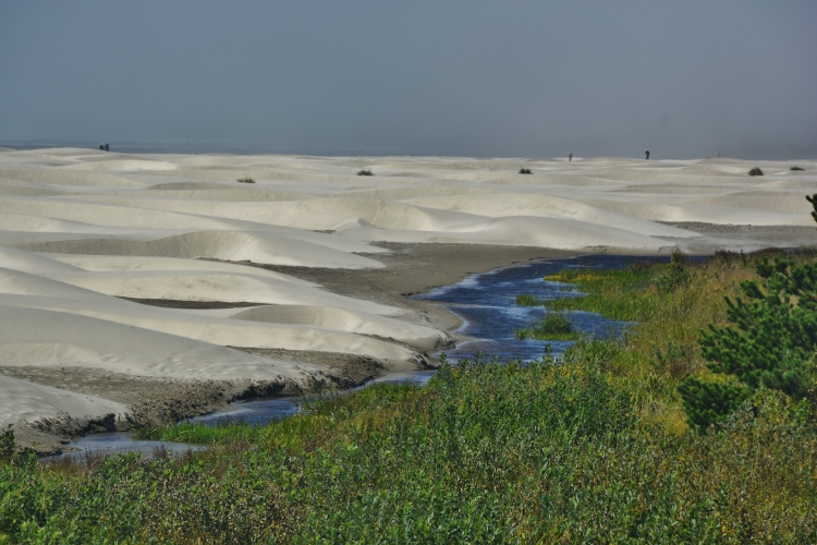 sand dunes